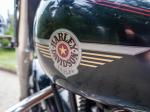 Zbliżenie na logo marki Harley Davidson umieszczone na baku motoru.